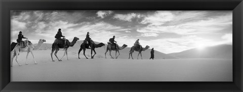 Framed Tourists riding camels through the Sahara Desert landscape led by a Berber man, Morocco (black and white) Print