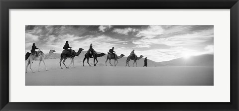 Framed Tourists riding camels through the Sahara Desert landscape led by a Berber man, Morocco (black and white) Print