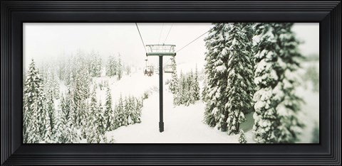 Framed Chair lift and snowy evergreen trees at Stevens Pass, Washington State, USA Print