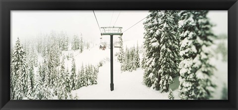 Framed Chair lift and snowy evergreen trees at Stevens Pass, Washington State, USA Print