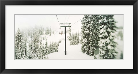 Framed Chair lift and snowy evergreen trees at Stevens Pass, Washington State, USA Print