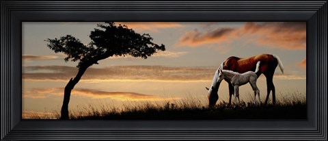 Framed Horse mare and a foal grazing by tree at sunset Print
