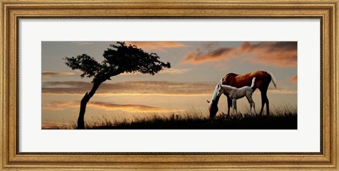 Framed Horse mare and a foal grazing by tree at sunset Print