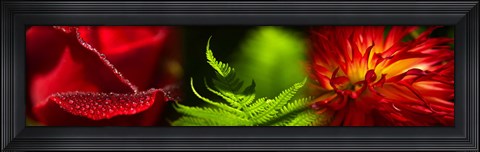 Framed Leaves and red flowers Print