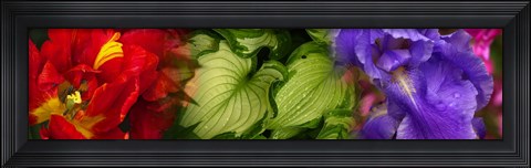 Framed Tulip and Iris flowers Print