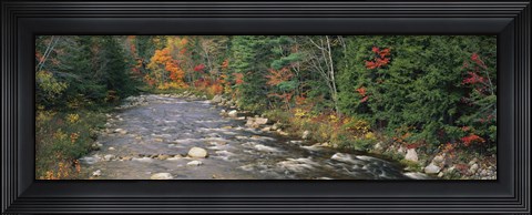 Framed River flowing through a forest, Ellis River, White Mountains, New Hampshire, USA Print