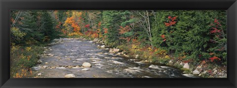 Framed River flowing through a forest, Ellis River, White Mountains, New Hampshire, USA Print
