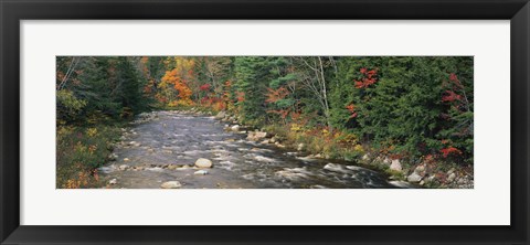 Framed River flowing through a forest, Ellis River, White Mountains, New Hampshire, USA Print