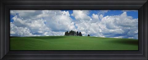 Framed Trees on the top of a hill, Palouse, Whitman County, Washington State, USA Print