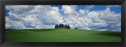 Framed Trees on the top of a hill, Palouse, Whitman County, Washington State, USA Print