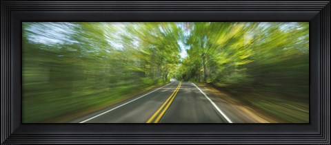 Framed Treelined road viewed from a moving vehicle Print