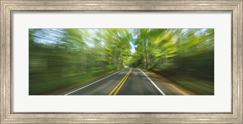 Framed Treelined road viewed from a moving vehicle Print