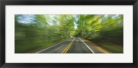 Framed Treelined road viewed from a moving vehicle Print