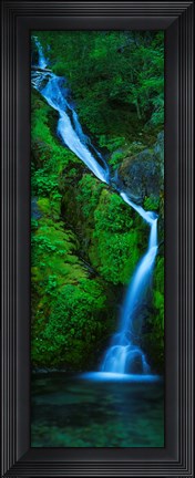 Framed Waterfall in a forest, Sullivan Falls, Opal Creek Wilderness, Oregon, USA Print