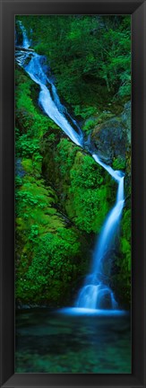 Framed Waterfall in a forest, Sullivan Falls, Opal Creek Wilderness, Oregon, USA Print