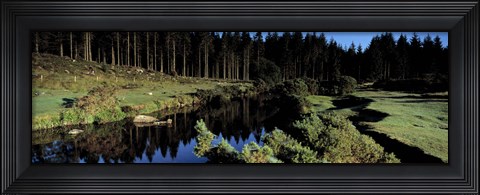 Framed River flowing through a forest, East Dart River, Dartmoor, Devon, England Print