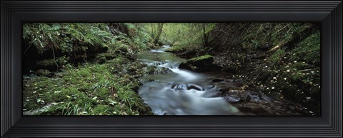 Framed River flowing through a forest, River Lyd, Lydford Gorge, Dartmoor, Devon, England Print