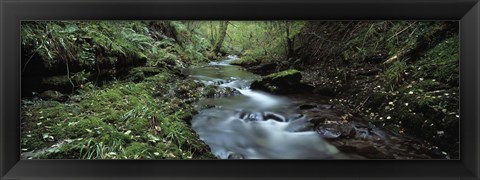 Framed River flowing through a forest, River Lyd, Lydford Gorge, Dartmoor, Devon, England Print