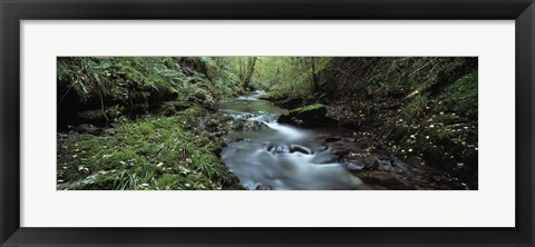 Framed River flowing through a forest, River Lyd, Lydford Gorge, Dartmoor, Devon, England Print