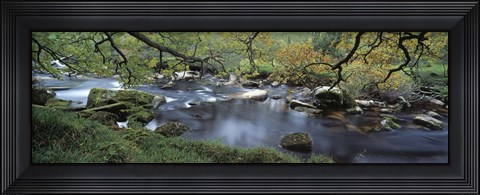 Framed River flowing through a forest, West Dart River, Dartmeet, Devon, England Print