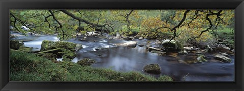 Framed River flowing through a forest, West Dart River, Dartmeet, Devon, England Print