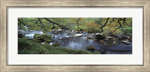 Framed River flowing through a forest, West Dart River, Dartmeet, Devon, England Print