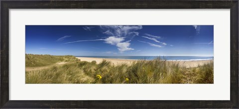 Framed Marram Grass, dunes and beach, Winterton-on-Sea, Norfolk, England Print