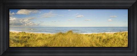 Framed Grass on the beach, Horsey Beach, Norfolk, England Print