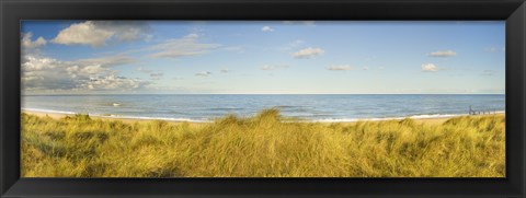 Framed Grass on the beach, Horsey Beach, Norfolk, England Print