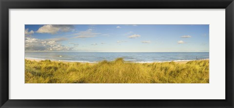 Framed Grass on the beach, Horsey Beach, Norfolk, England Print
