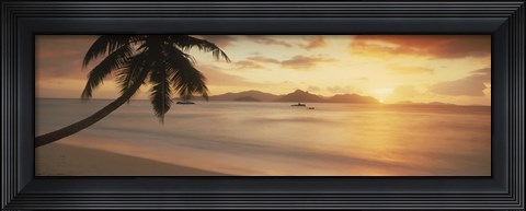 Framed Silhouette of a palm tree on the beach at sunset, La Digue Island, Praslin Island, Seychelles Print