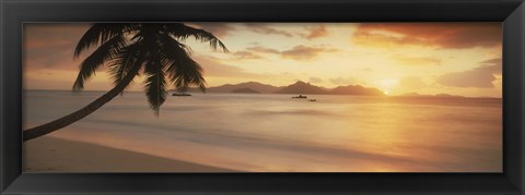 Framed Silhouette of a palm tree on the beach at sunset, La Digue Island, Praslin Island, Seychelles Print