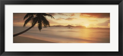 Framed Silhouette of a palm tree on the beach at sunset, La Digue Island, Praslin Island, Seychelles Print