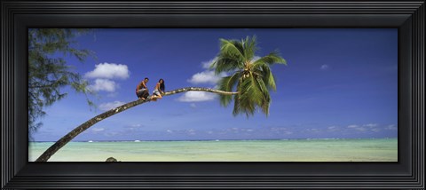 Framed Couple on trunk of a palm tree on the beach, Aitutaki, Cook Islands Print