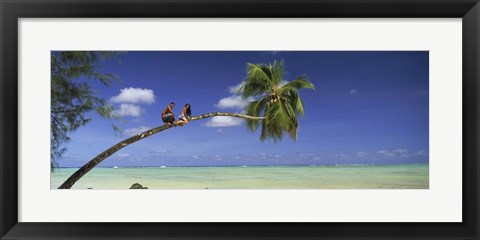 Framed Couple on trunk of a palm tree on the beach, Aitutaki, Cook Islands Print