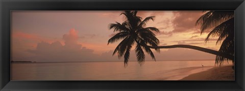 Framed Silhouette of palm trees on the beach at sunrise, Fihalhohi Island, Maldives Print
