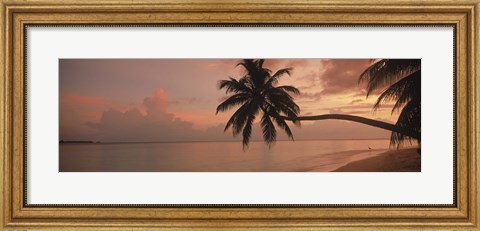Framed Silhouette of palm trees on the beach at sunrise, Fihalhohi Island, Maldives Print