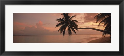 Framed Silhouette of palm trees on the beach at sunrise, Fihalhohi Island, Maldives Print