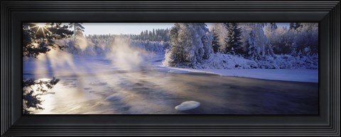 Framed Snow covered laden trees, Dal River, Sweden Print