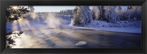 Framed Snow covered laden trees, Dal River, Sweden Print