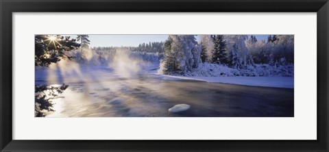 Framed Snow covered laden trees, Dal River, Sweden Print