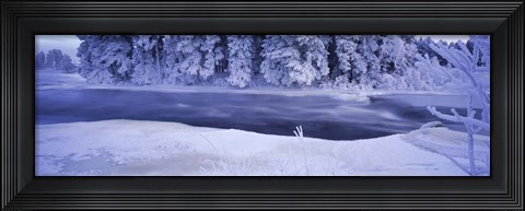 Framed River flowing through a snow covered forest, Dal River, Sweden Print