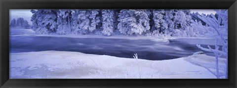 Framed River flowing through a snow covered forest, Dal River, Sweden Print