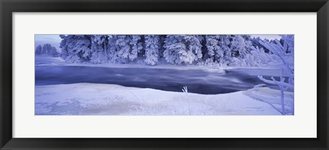 Framed River flowing through a snow covered forest, Dal River, Sweden Print