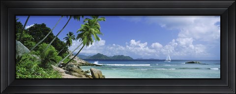 Framed Palm trees on the beach, Anse Severe, La Digue Island, Praslin Island, Seychelles Print