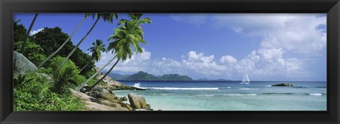 Framed Palm trees on the beach, Anse Severe, La Digue Island, Praslin Island, Seychelles Print