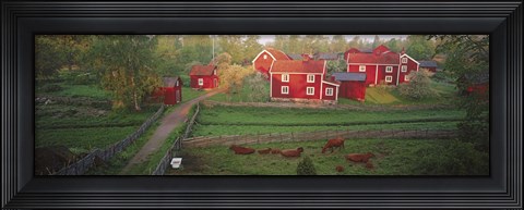 Framed Traditional red farm houses and barns at village, Stensjoby, Smaland, Sweden Print