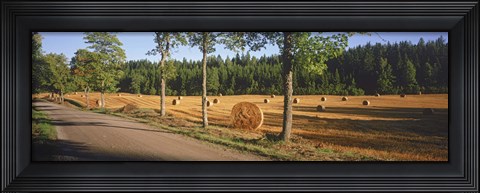 Framed Hay bales in a field, Flens, Sweden Print