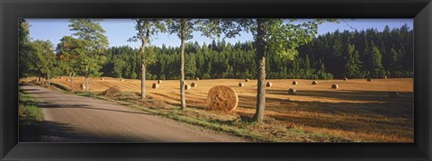 Framed Hay bales in a field, Flens, Sweden Print