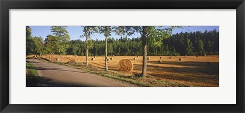 Framed Hay bales in a field, Flens, Sweden Print